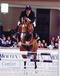 lupicor_and_ben_schr&ouml;der_at_the_international_showjumping_show_in_frankfurt