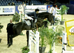 whitaker_and_caroline_mueller_assen_2011_4.jpg